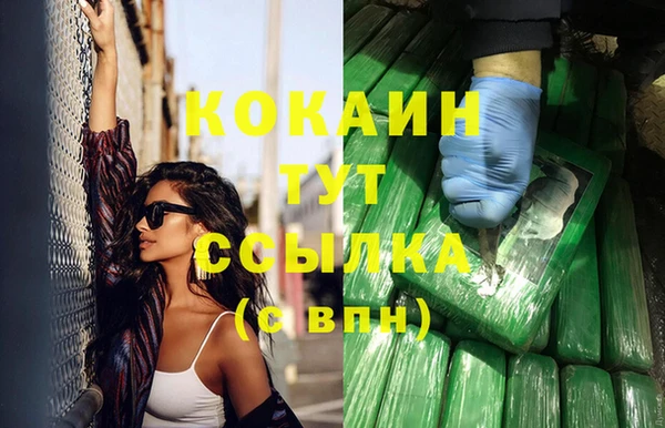 прущие грибы Липки