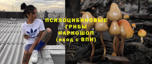 mdpv Лиски